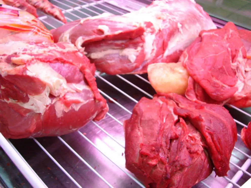 Carne bovina: Argentina exportó 2.000 millones de dólares en 2019