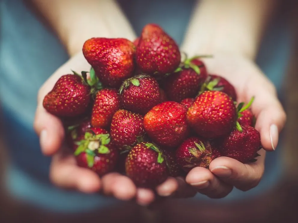Tips para congelar sin plásticos