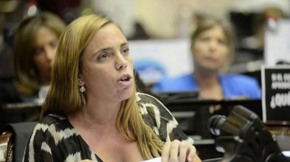 De Vido dijo que siente “asco” por María Emilia Soria