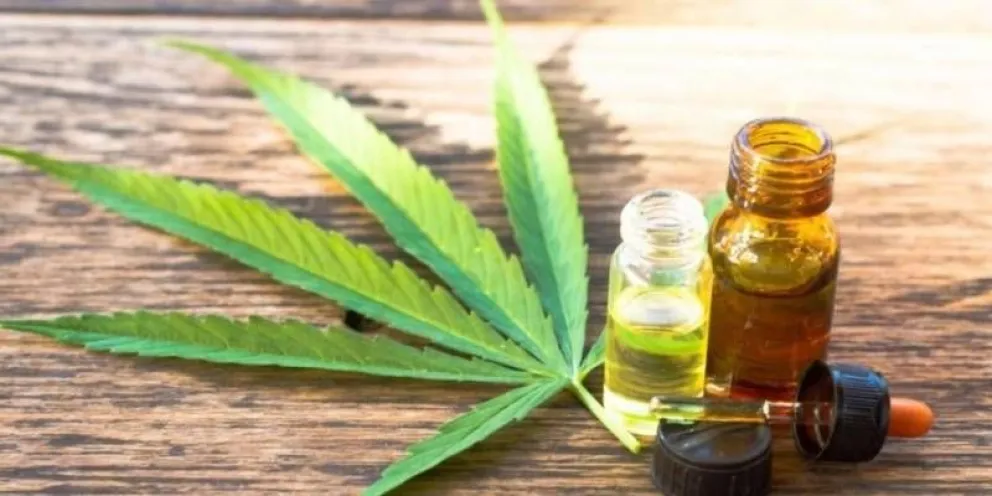 Autorizarán el autocultivo de cannabis en San Antonio Oeste