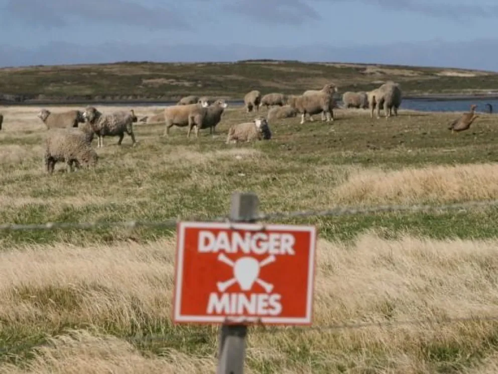 Peligro en Islas Malvinas: quedarían más de 15 mil minas enterradas
