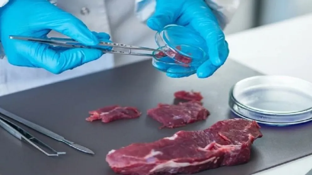 La Argentina ya produce su propia carne cultivada