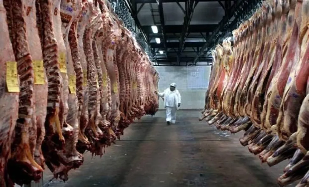 Exportadores de carne salen al cruce de cambios en el pago de IVA