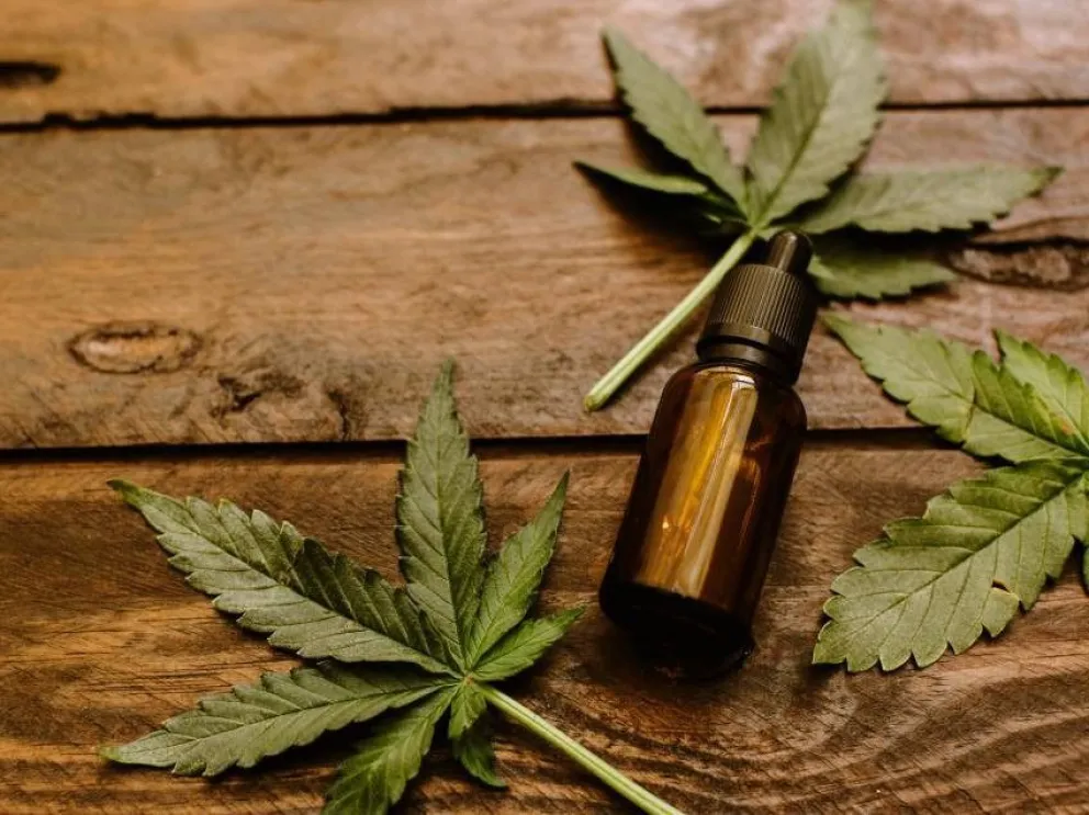 Cannabis medicinal: decisiones de avanzada en Río Negro