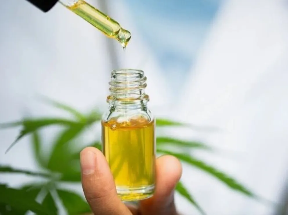 Aceite de cannabis: el primer ensayo oficial fue un  80% efectivo