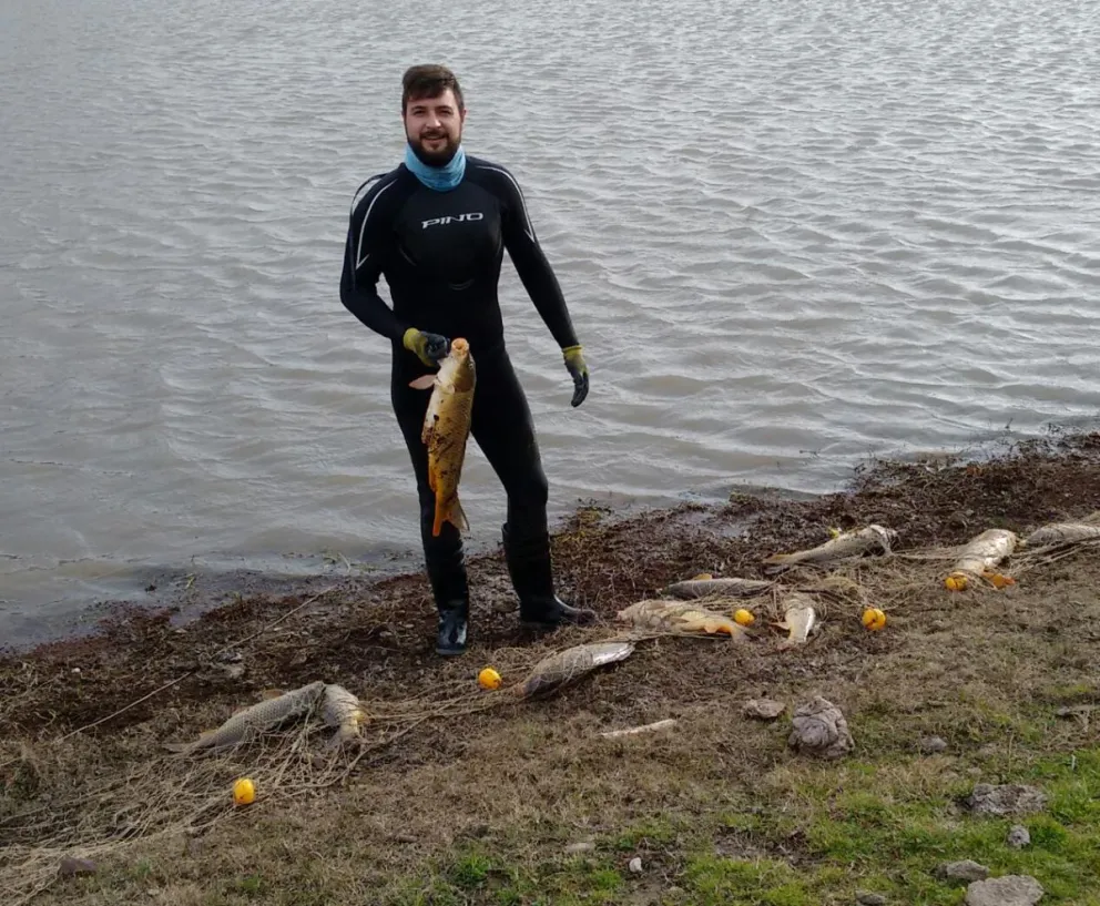 La carpa, un pez invasivo en el río Negro
