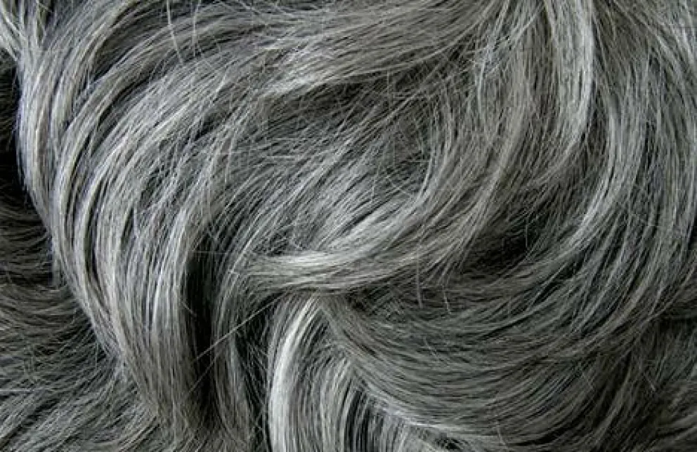 ¿Por qué salen las canas?