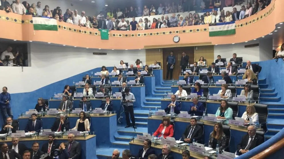 Ya juró Palmieri como vicegobernador