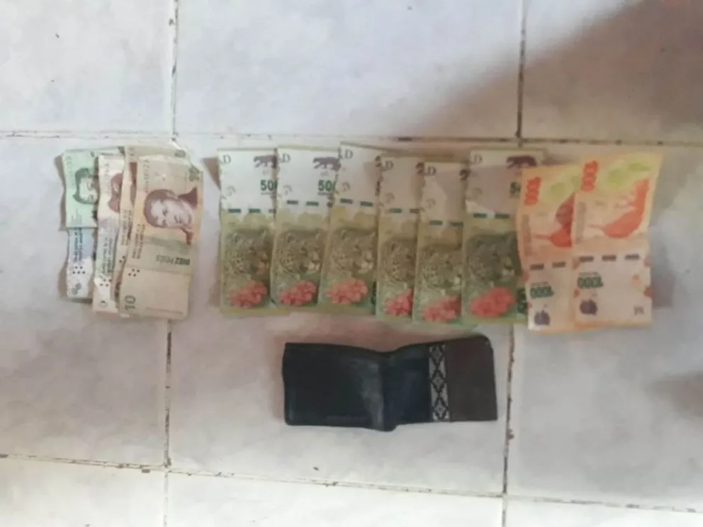 Allanamientos y un detenido por robos en Patagones