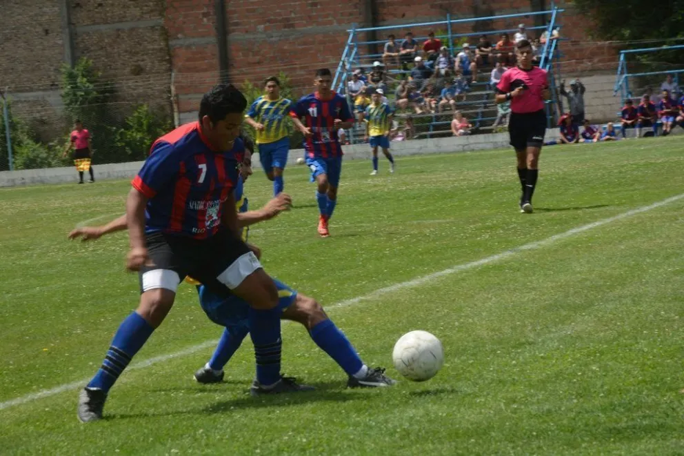 Campeones del Clausura 2019