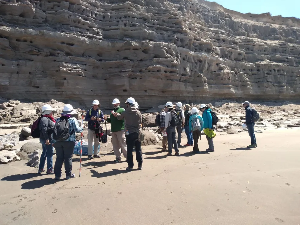 Científicos analizaron los acantilados de la costa marítima