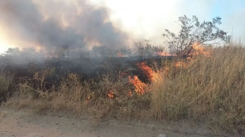 Reiteración de incendios forestales agita las alarmas