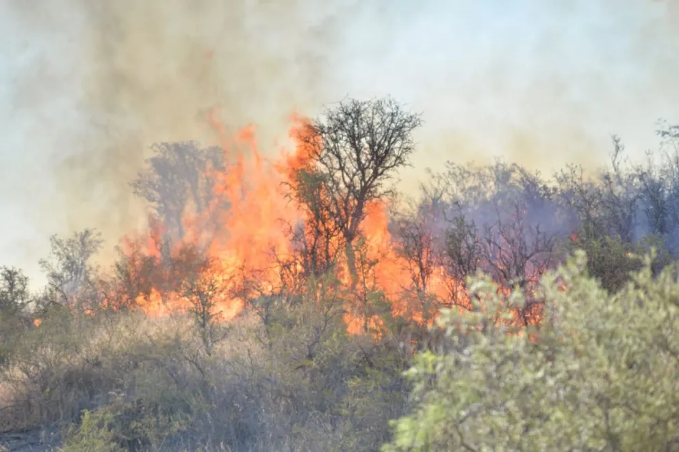 Fuego descontrolado cerca de un balneario: evacuaron la zona