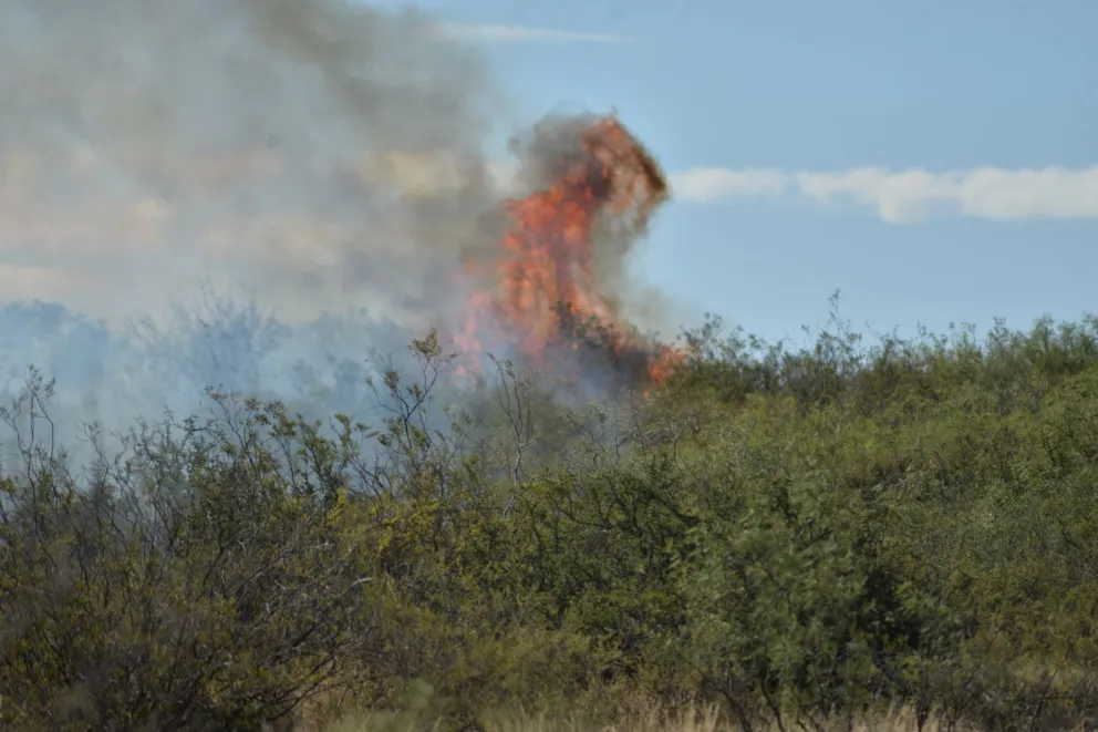 Es alto el riesgo de incendios forestales