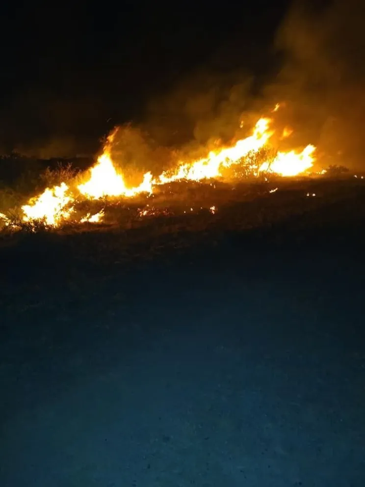 Se incendiaron varias hectáreas cerca del Puerto