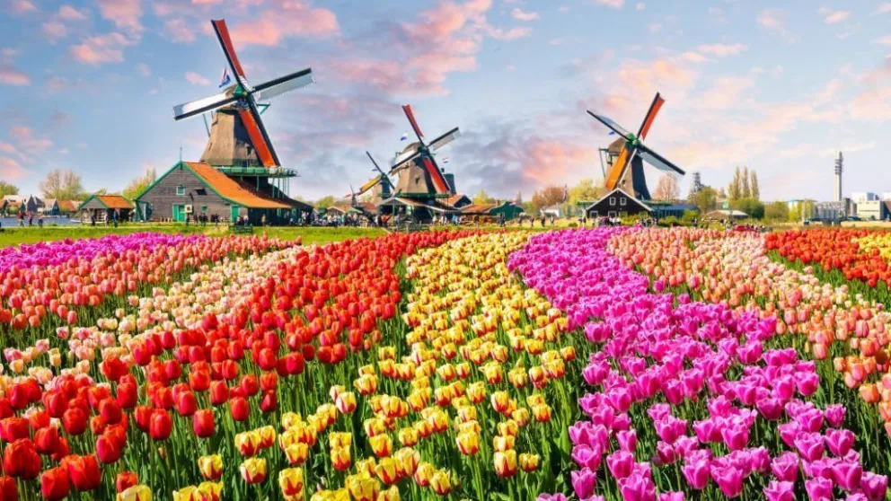Holanda cambia de nombre a partir de 2020