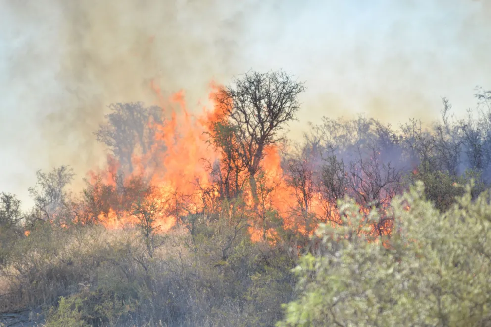 Patagones está en alerta por posibles focos de incendios