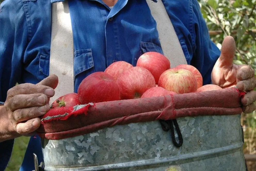 Piden al peronismo que no se olvide de la fruticultura