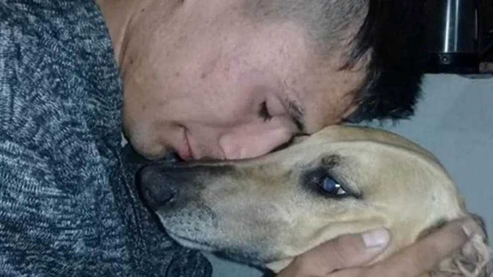 Ofrece un auto como recompensa para recuperar a su perro