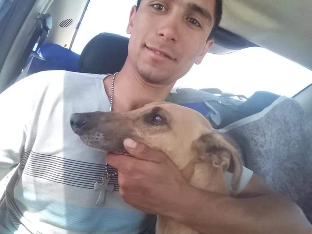 Encontraron al galgo robado en Ascasubi
