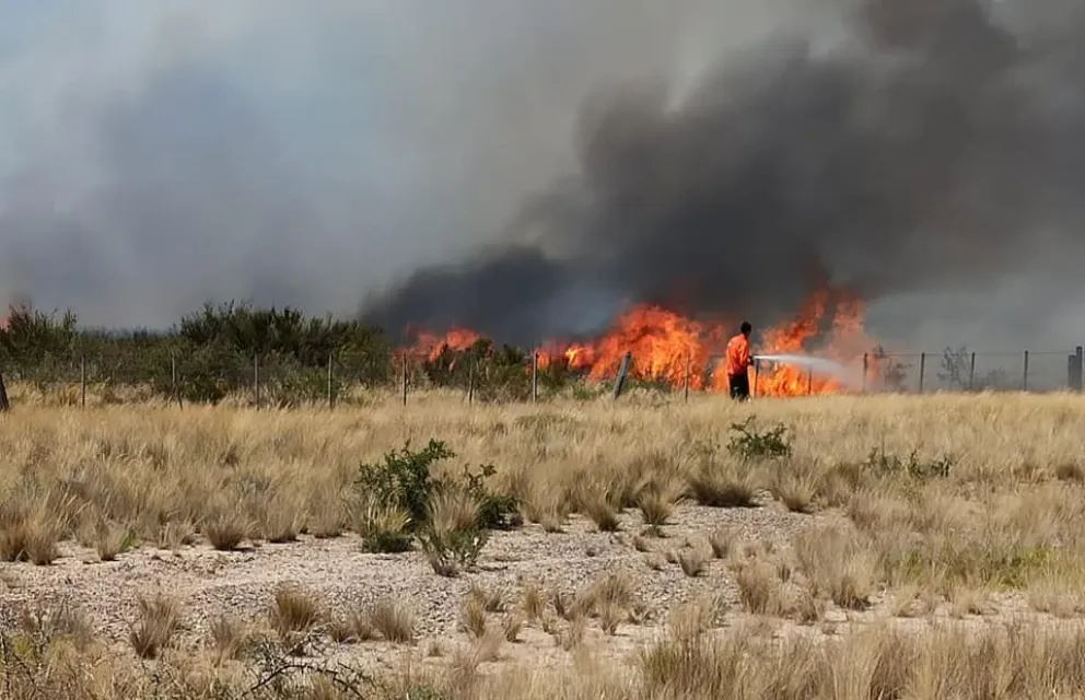 Incendio forestal cerca de San Antonio obligó a cortar la ruta