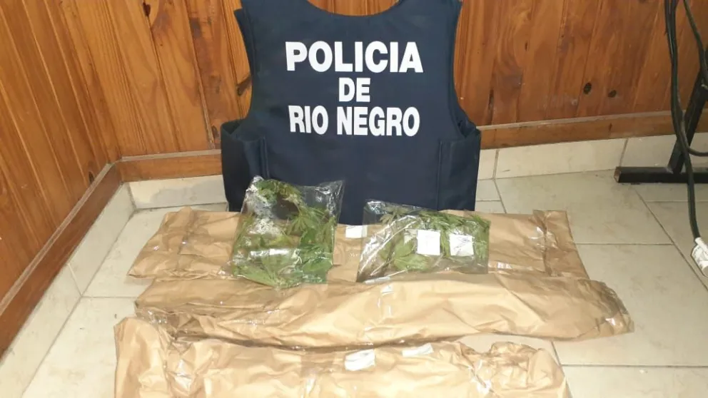 El Cóndor: allanaron dos casas por robo y encontraron marihuana