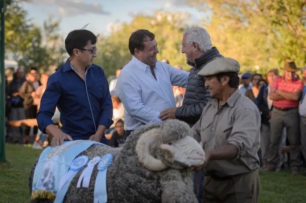 WERETILNECK: “PRODUCTORES Y EMPRENDEDORES RIONEGRINOS SE BENEFICIARÁN CON LAS NUEVAS LEYES”