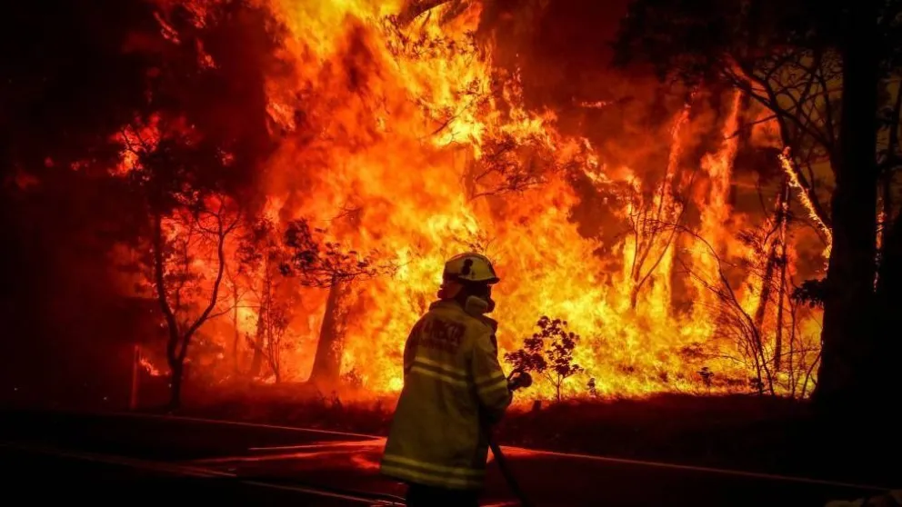 Confirman al menos 25 fallecidos por incendios forestales en Australia