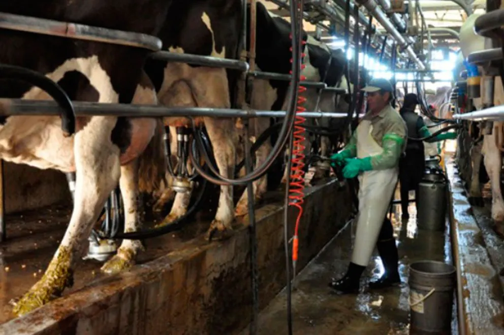 Tamberos ven insuficiente la exención del Inmobiliario Rural