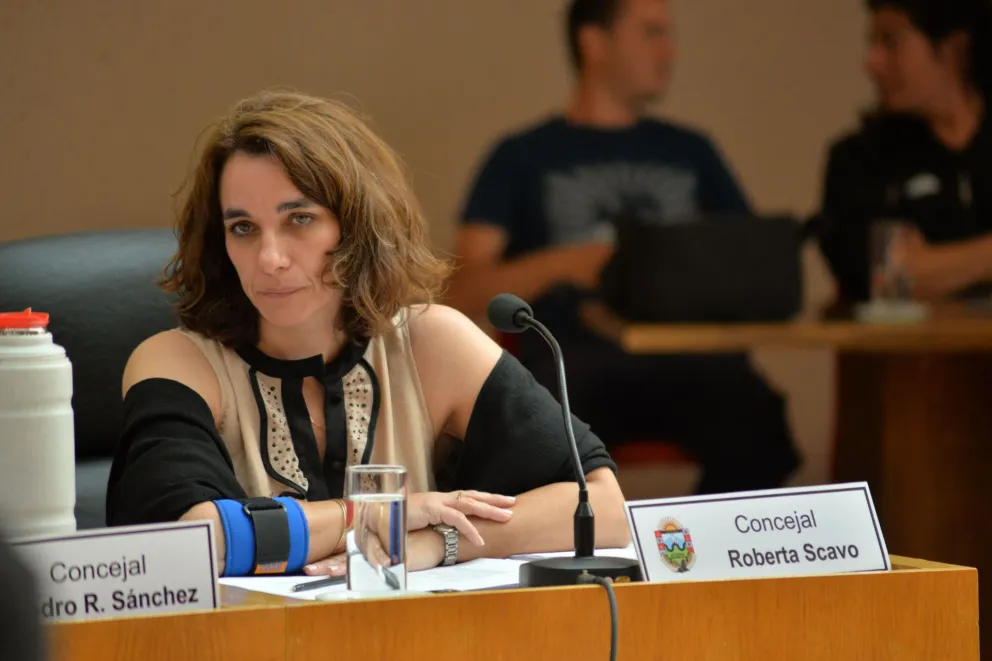 Scavo se opuso a acompañar el beneplácito del beneficio de ANSES