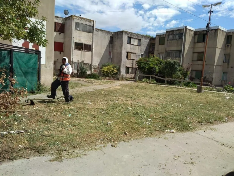 Tareas de limpieza y desmalezamiento en varios puntos de Viedma