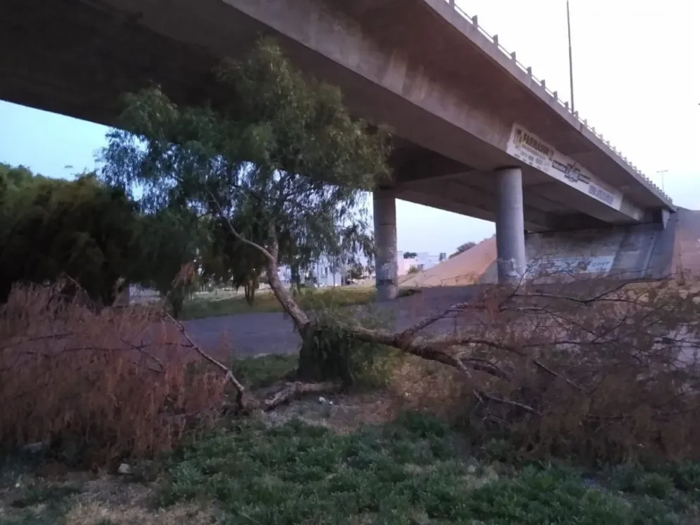 No hubo inconvenientes por el viento