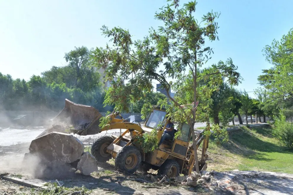 Modifican proyecto tras el malestar por la extracción de árboles