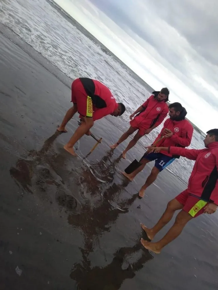 Guardavidas retiraron trasmallos de la playa