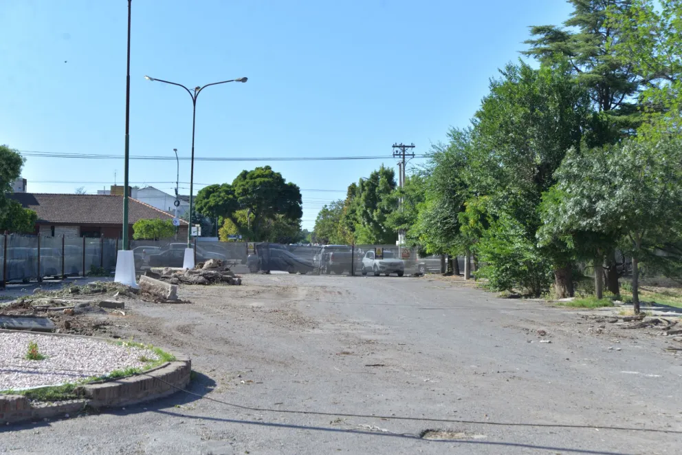 Paseo del Bicentenario:Plantarán 30 árboles por cada uno extraído