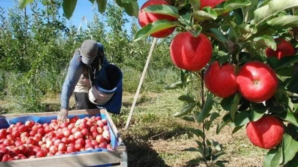 Fruticultores esperan respuesta de la gobernadora Carreras