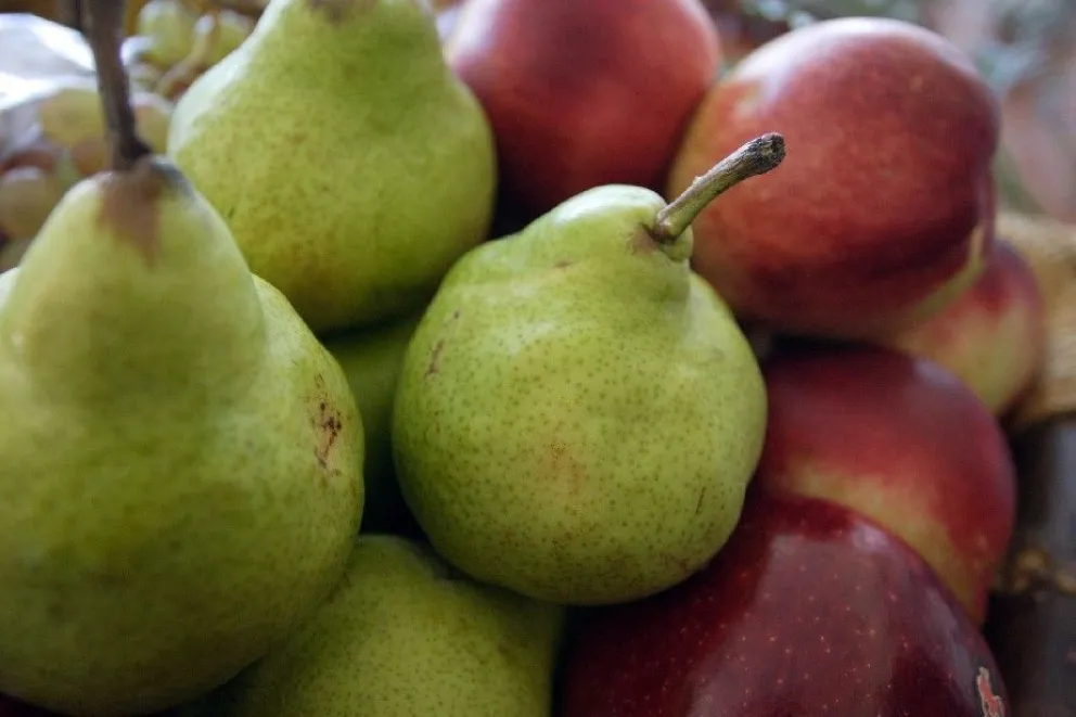 Río Negro trabaja en incorporación de frutas en tarjeta nacional
