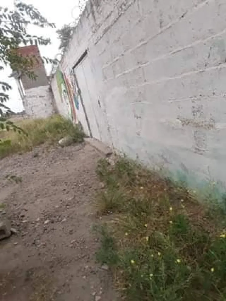 Perros abandonados, robos y basura en el predio de la protectora