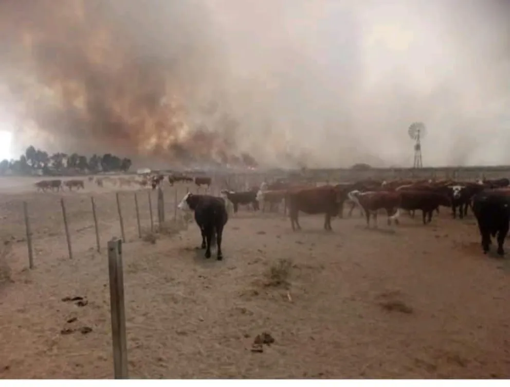 Arduas tareas para combatir el incendio en Guardia Mitre