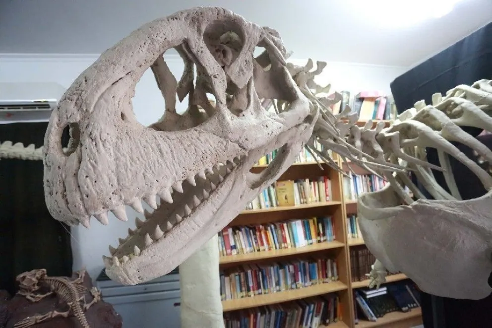 Las Grutas se llenará de dinosaurios