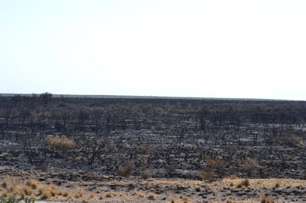 Luego de intensos días, se extinguió el fuego en Guardia Mitre