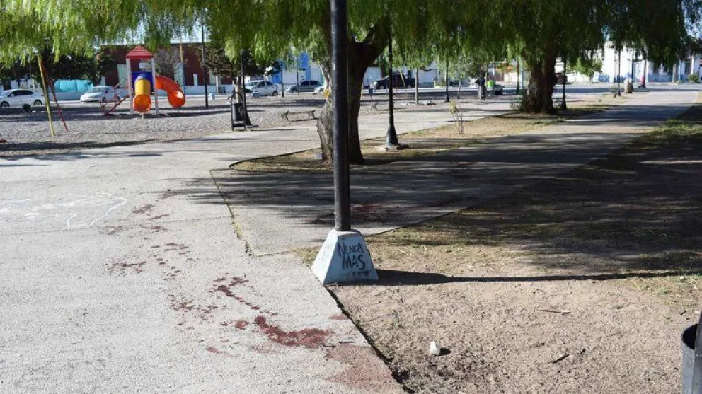 Hay dos detenidos por la muerte de un joven frente a la comisaría