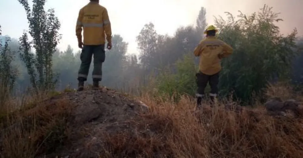 Incendios en Conesa, están contenidos, pero no controlados