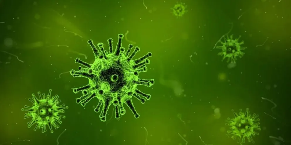 Crean test para detectar coronavirus en 15 minutos