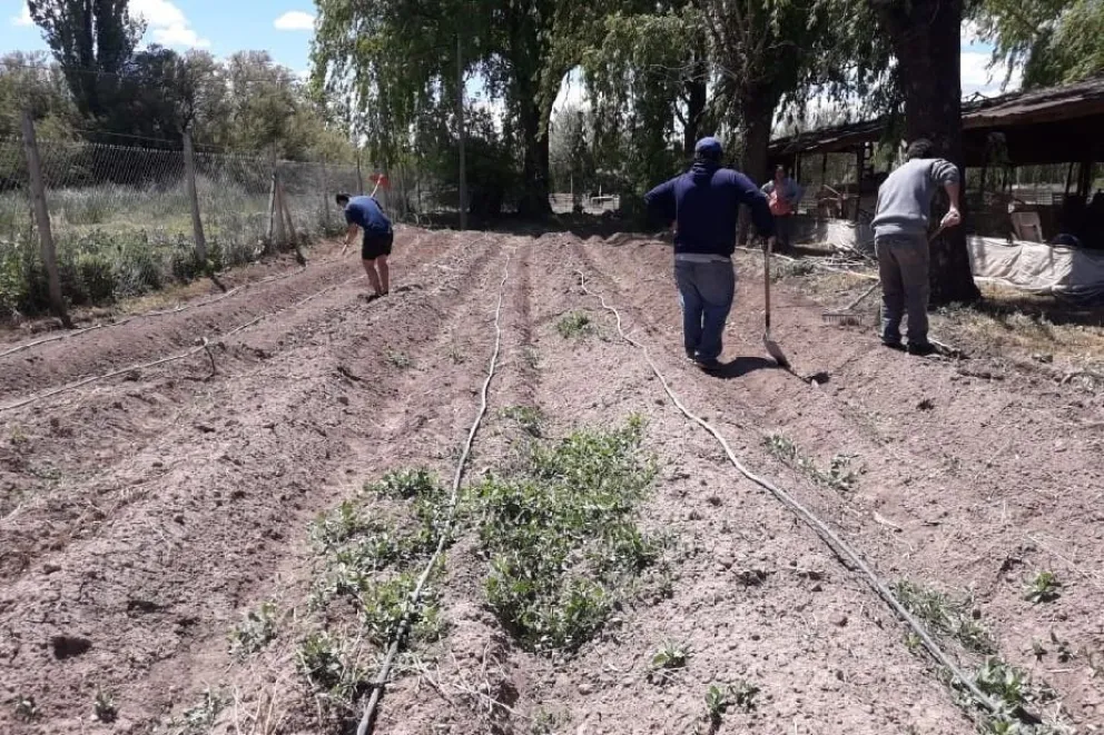 Logran reducir la violencia en los barrios
