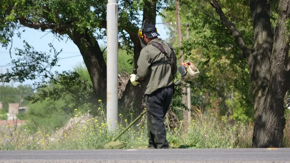 Sigue el plan de limpieza en los barrios San Martín y Castello