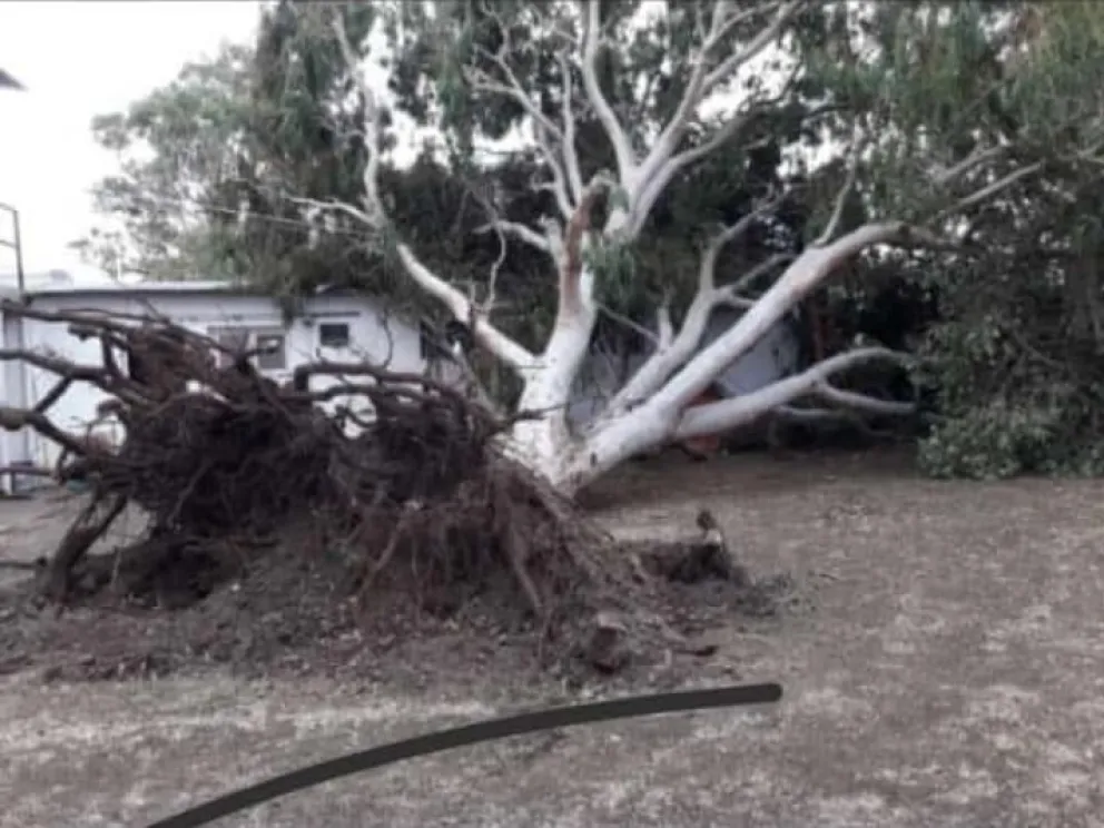 San Blas-Los Pocitos: fotos de los destrozos que dejó la cola de tornado