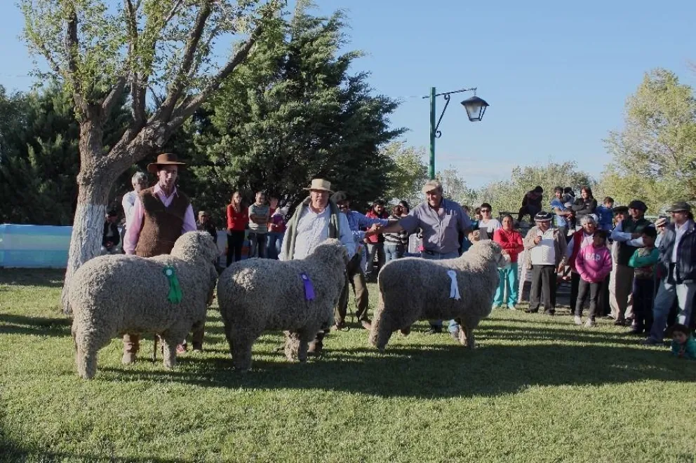 Comienza la 7º Fiesta Nacional de la Lana en Manquinchao