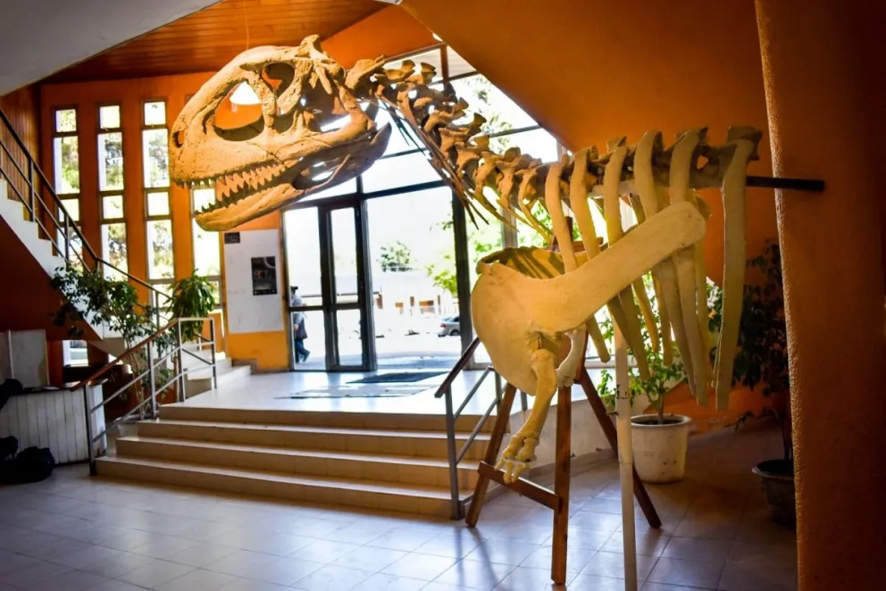 ¡Los Dinosaurios llegaron a Viedma! mirá las mejores fotos