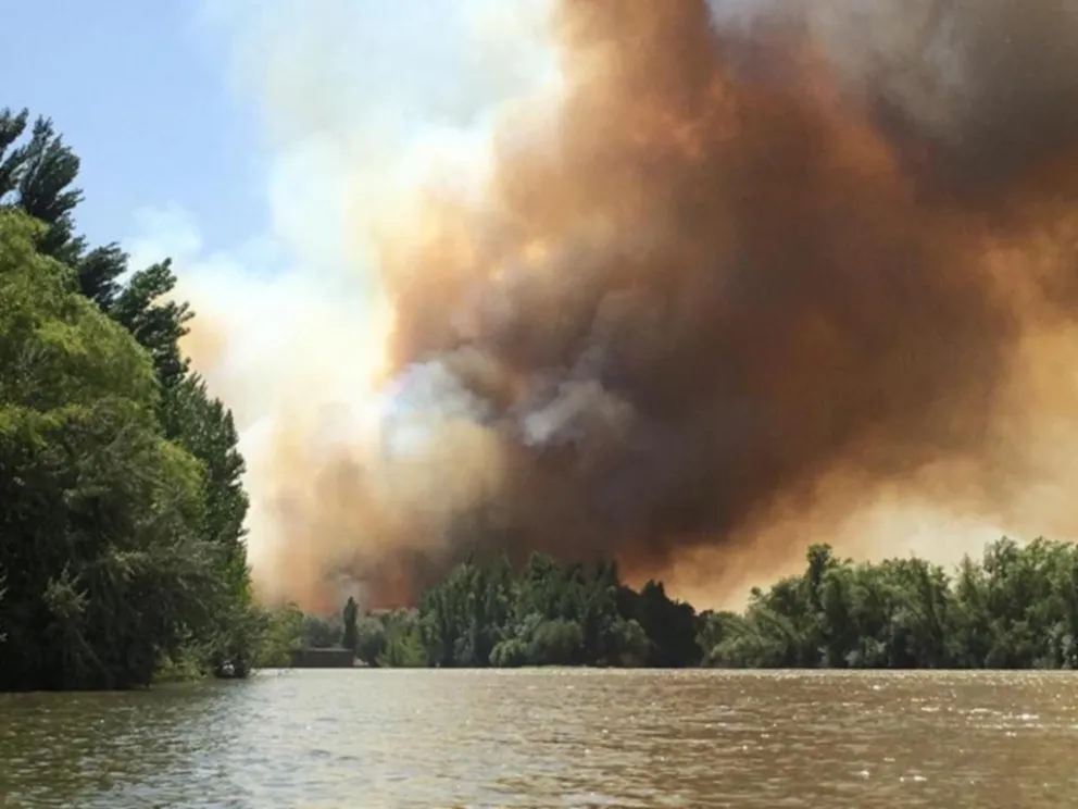 En Río Negro, los incendios afectaron 32 mil hectáreas